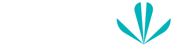 صندوق پژوهش و فناوری تجارت